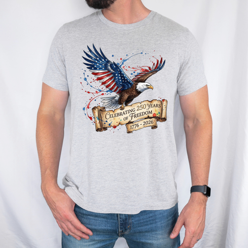 Bella+Canvas: Patriotic Eagle T-Shirt
